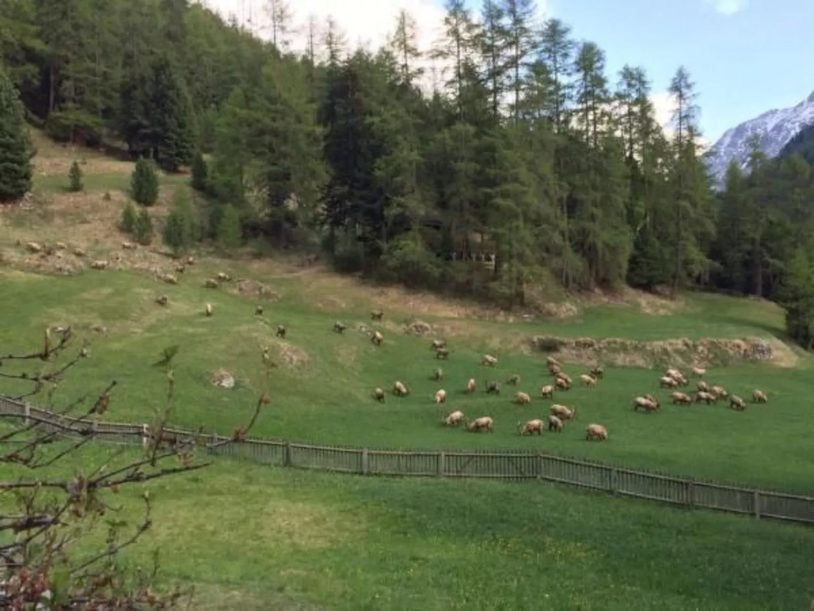 Chesa Melchior-Buiten