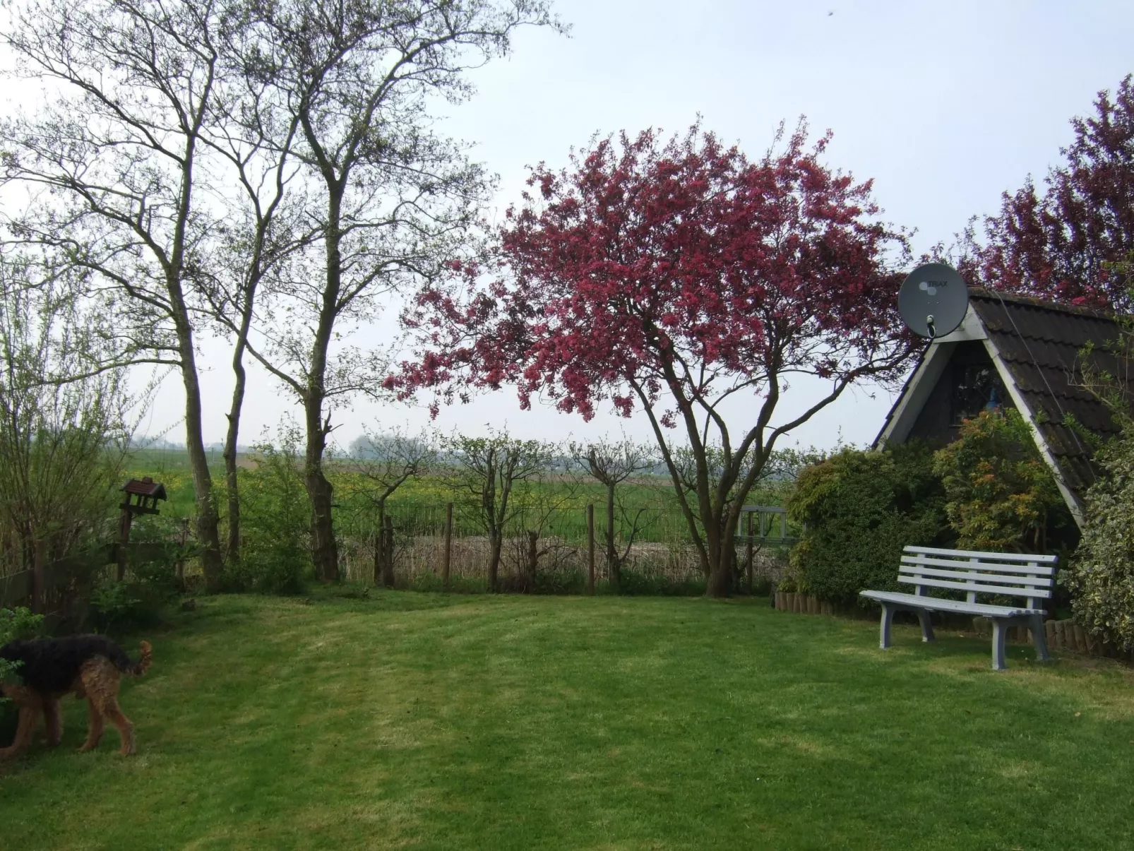 Nurdachhaus Klabautermann mit Terrasse und Garten-Buiten