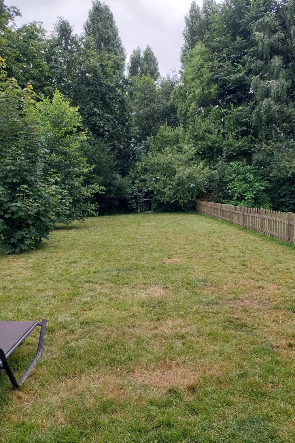 Möwe 16-Image-tags.info