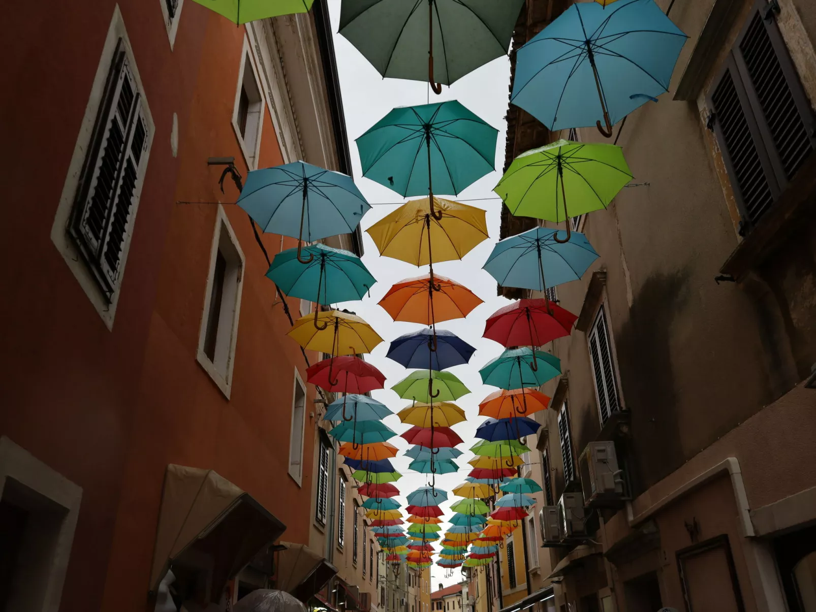 Wohnung in Novigrad - Omgeving