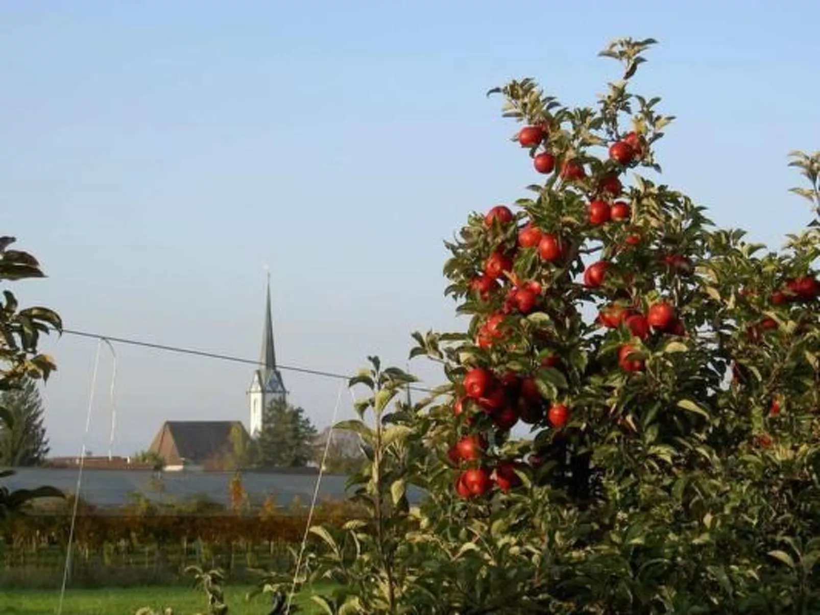 Feierlenhof, 2-Zimmerwohnung Granny, Parterre-Buiten