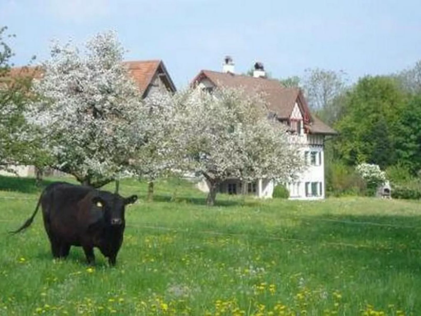 Biohof-Enderlin-Buiten