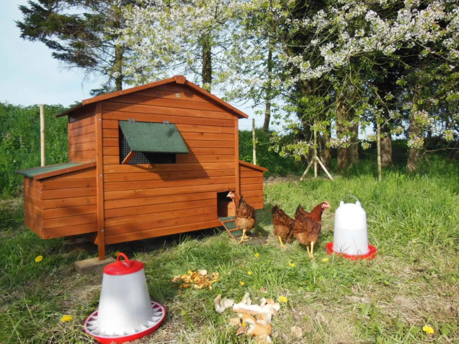 Für 8 Personen-Buiten