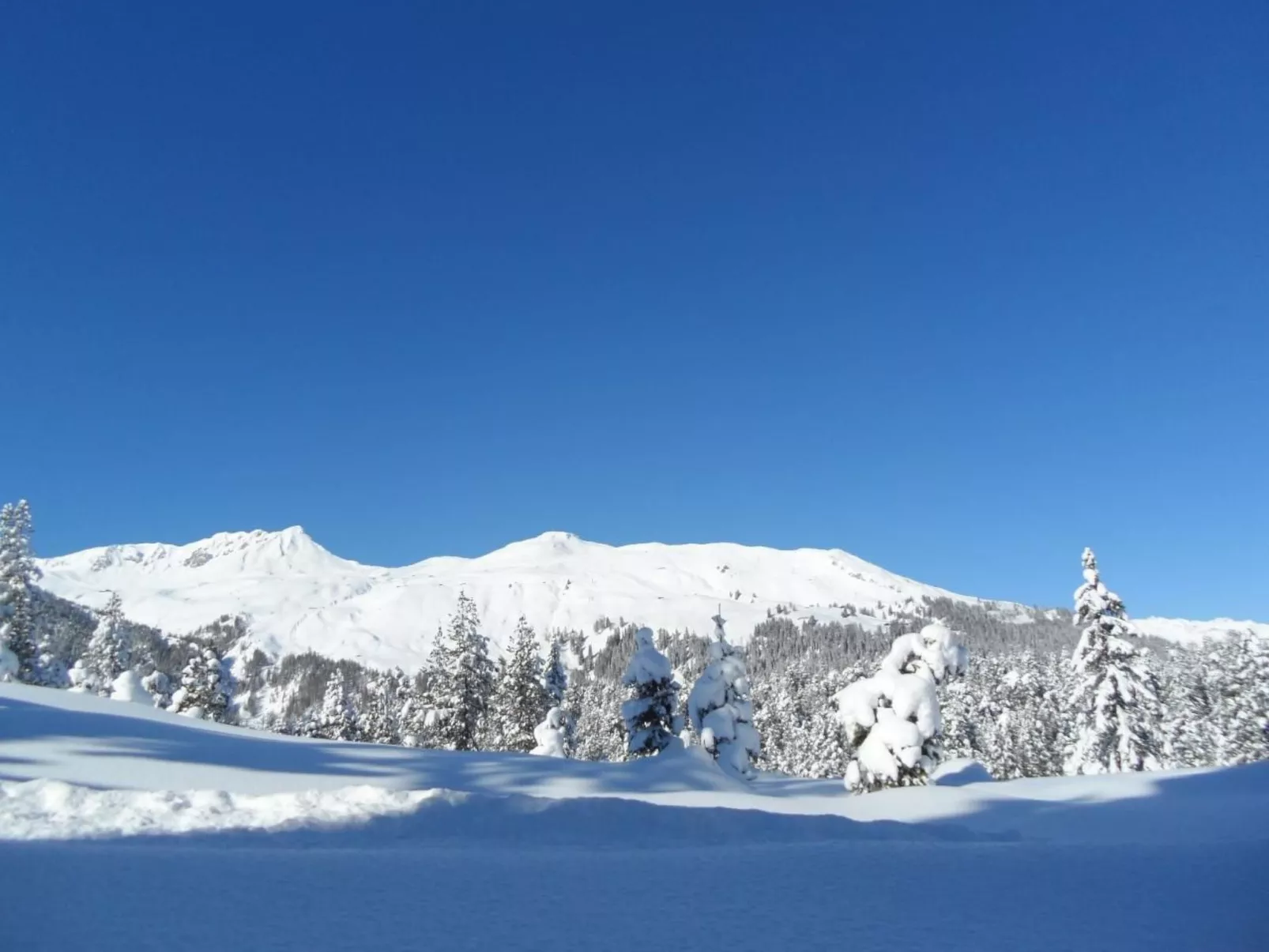 Chalet Atelier-Image-tags.info