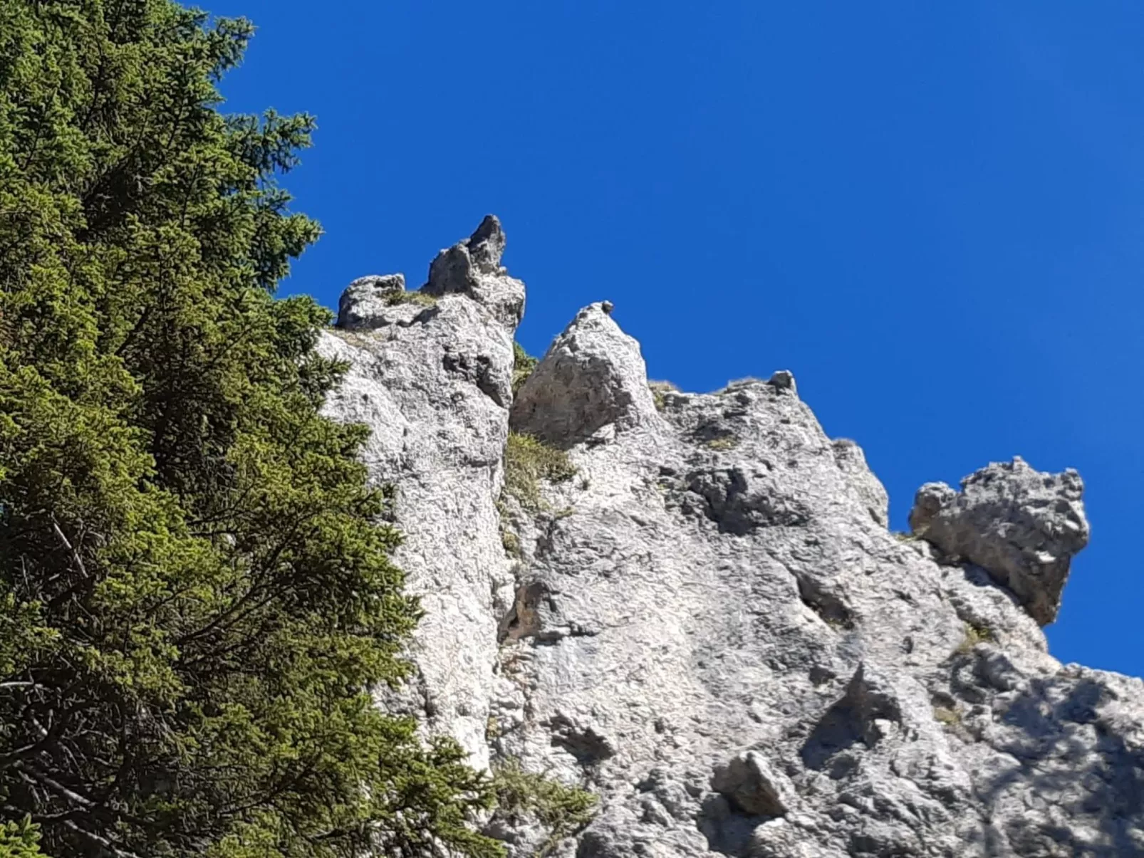 Gemütliche Ferienwohnung in Unterammergau-Buiten