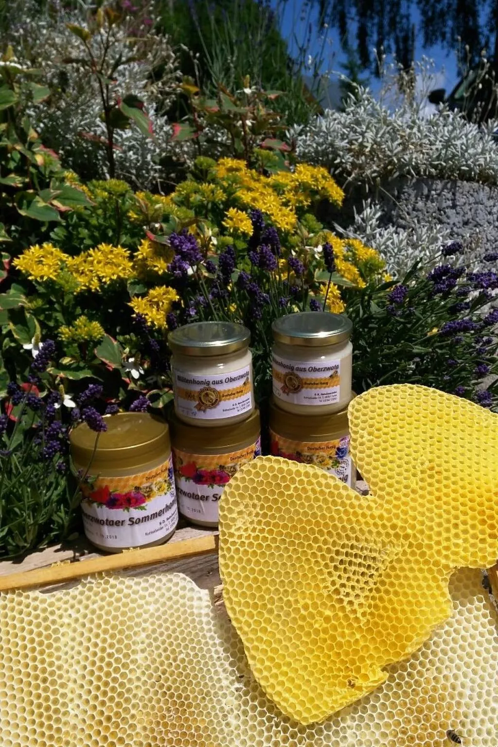 Auf der Sonnenseite-Image-tags.info