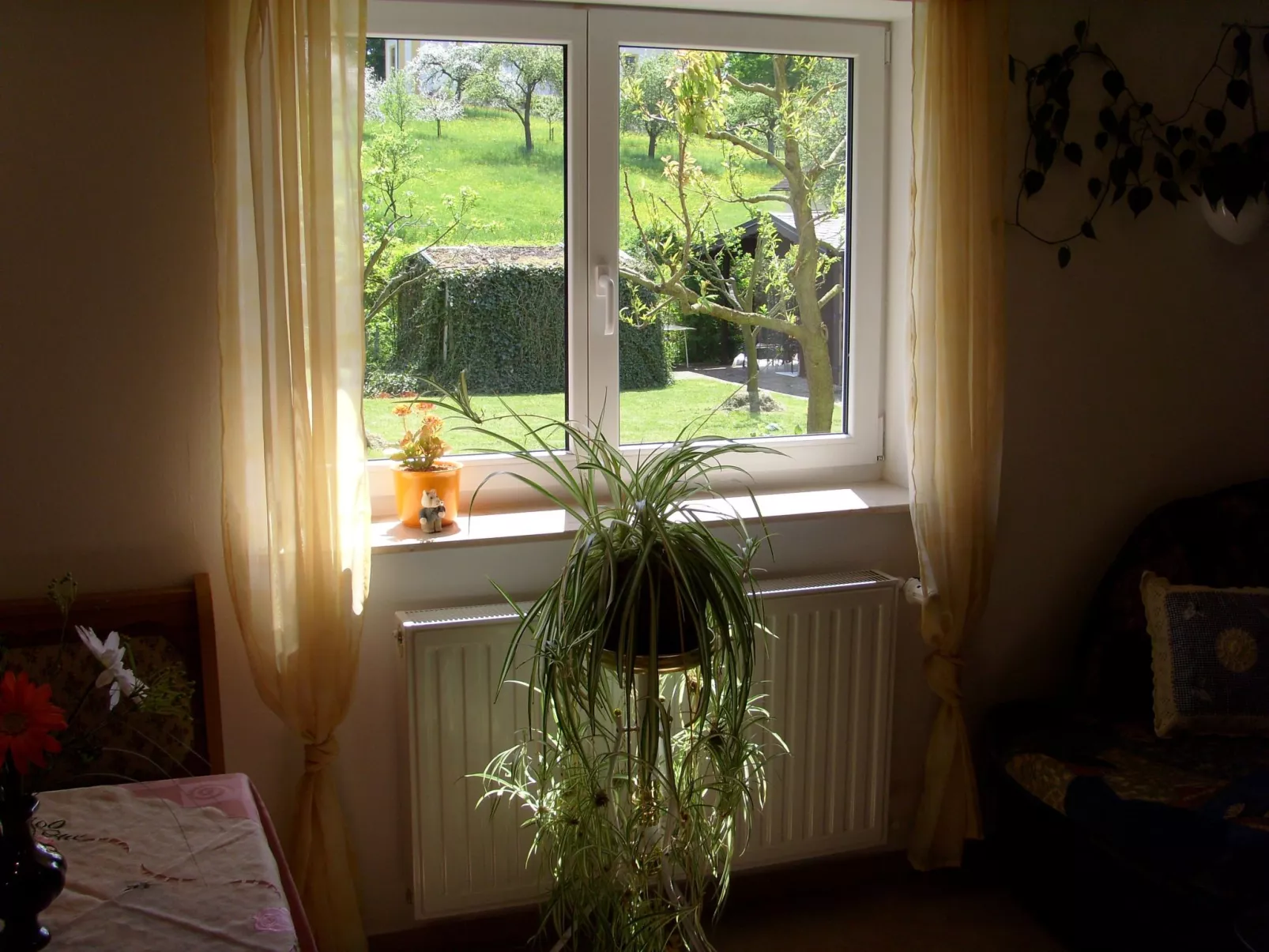 Mit Blick zur Wallfahrtskirche-Image-tags.info