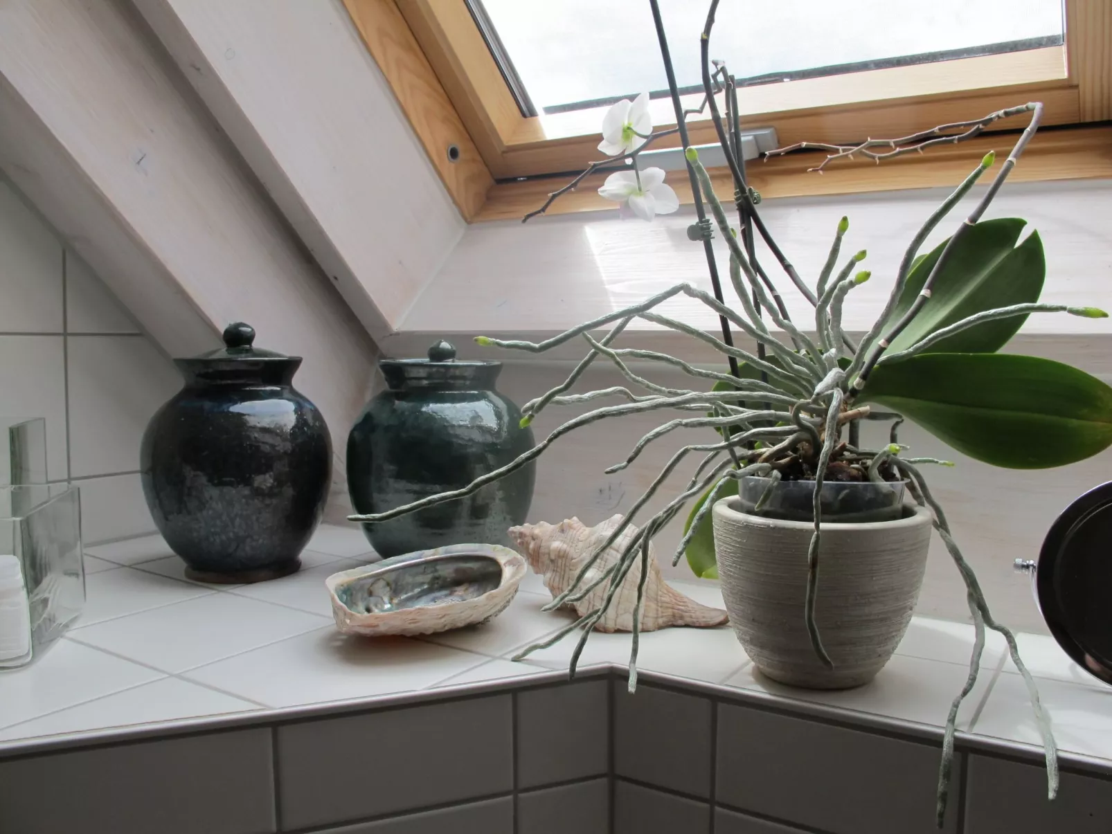 Spessart Bessenbach-Binnen