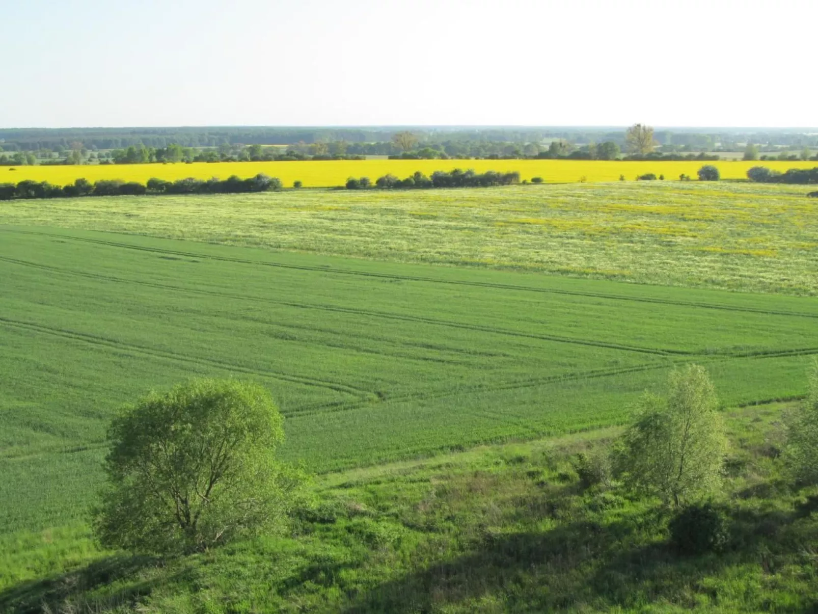 - Uns lütt Hüsung-Image-tags.info