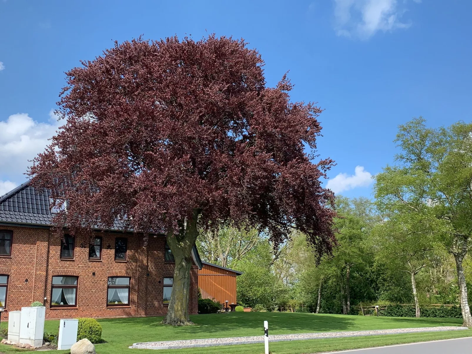 Studio Appartement Gartenblick-Buiten