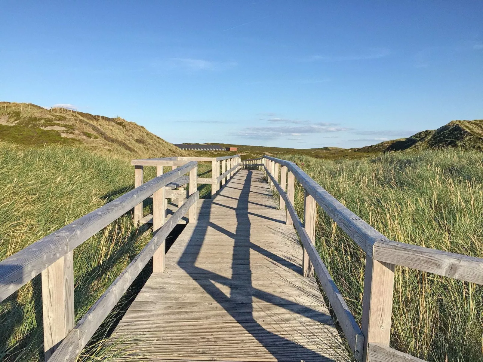 Strandfloh in Hörnum-Buiten