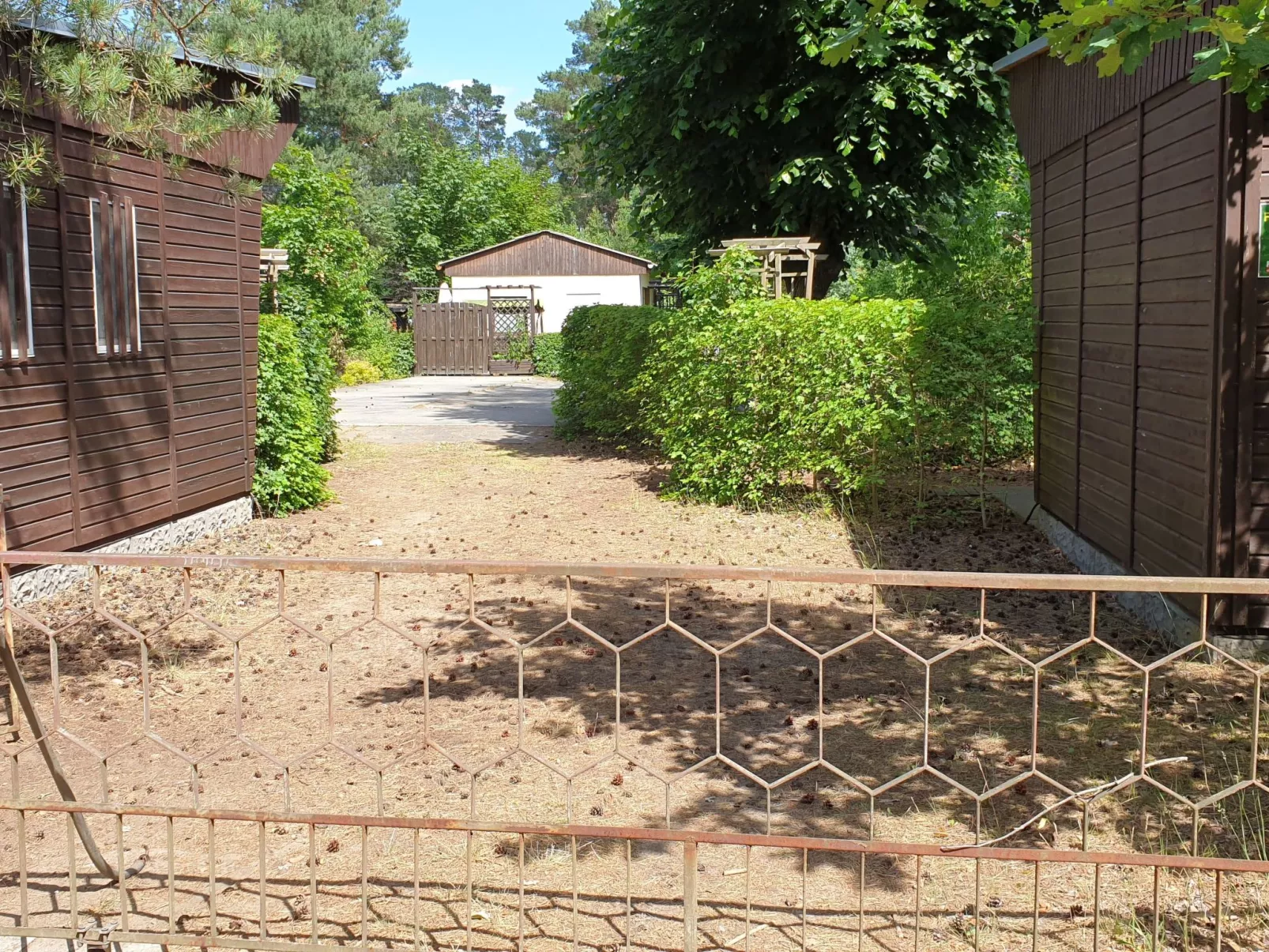 Holz-Bungalow mit Terrasse - Buiten