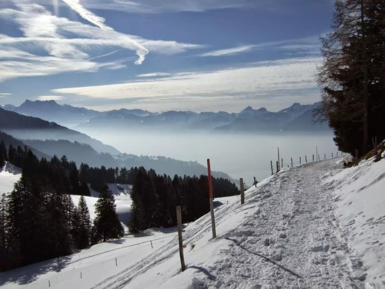 Les Narcisses,Blonay-Buiten