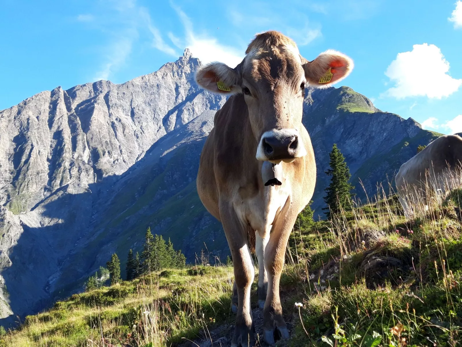 Hof Gross Gada-Buiten