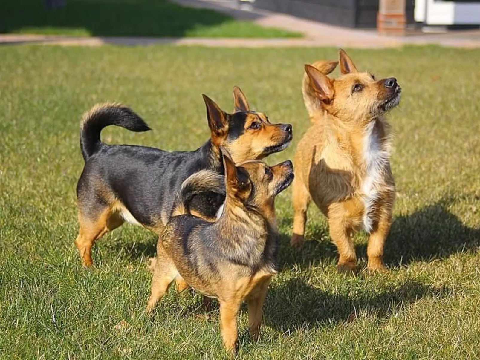 Anwesen "Oranjehorst"-Buiten