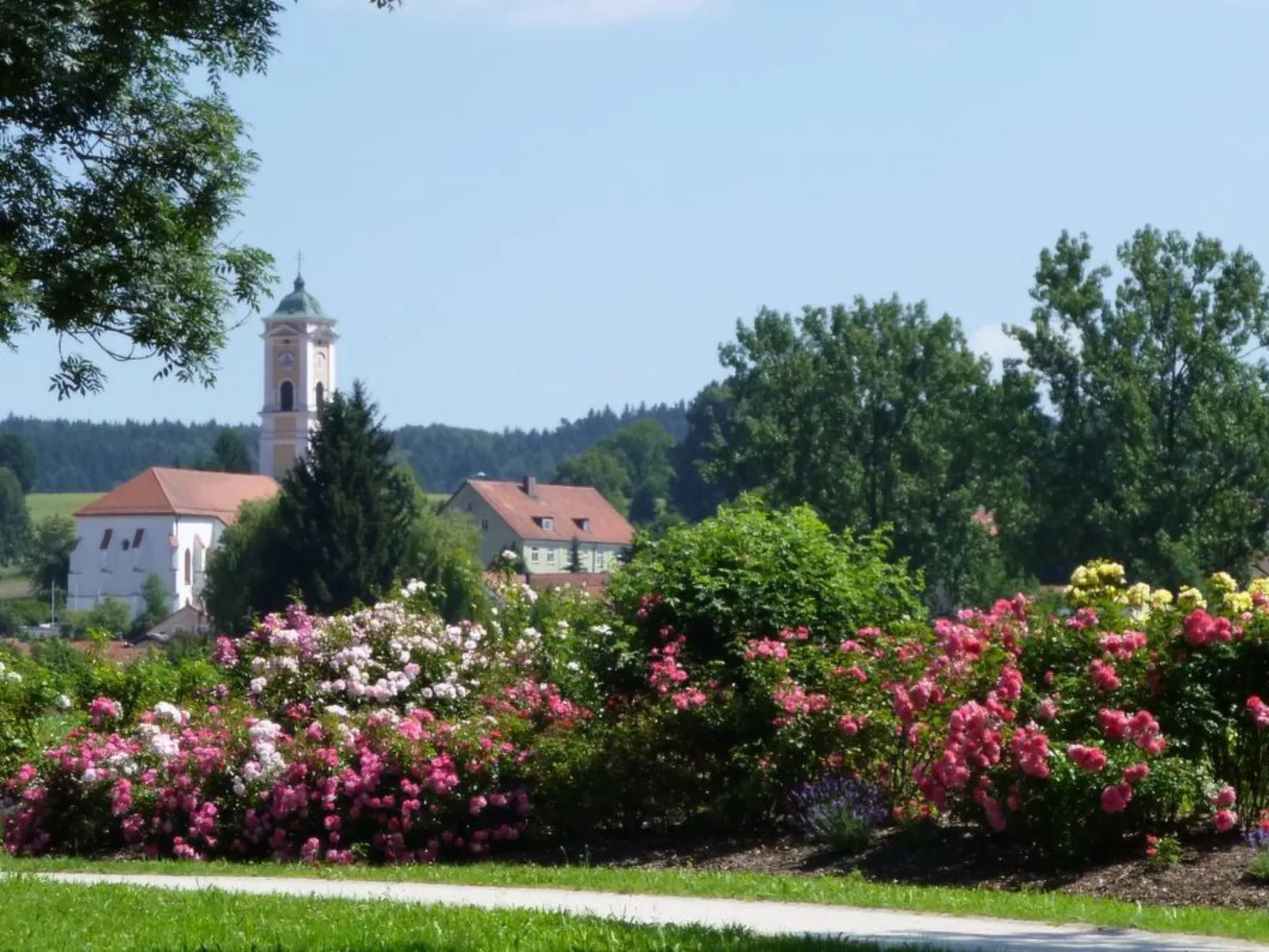 Herrliche Ferienwohnung mit Grill und Garten-Buiten