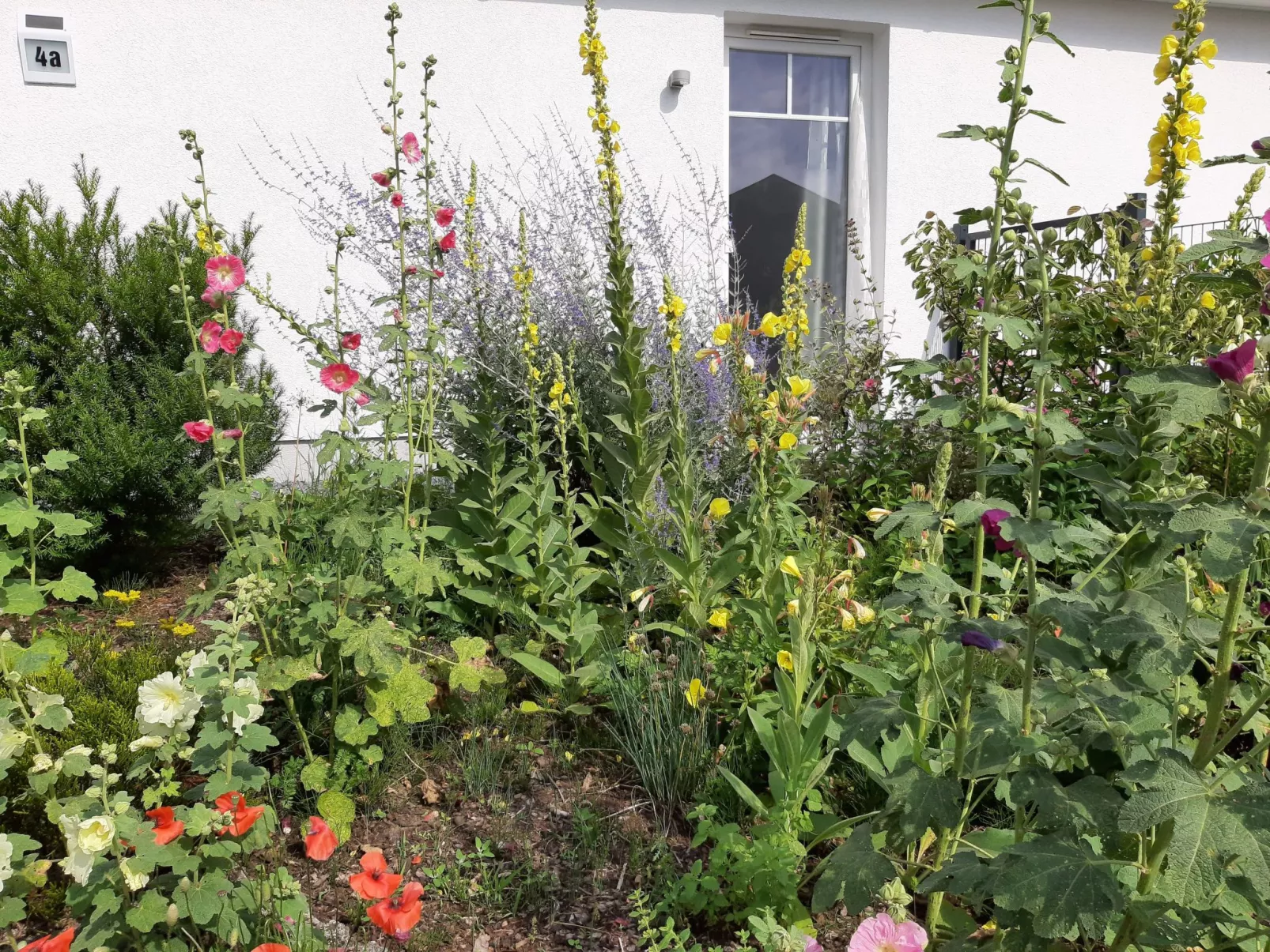 Schönes Ferienhaus in Brochterbeck mit Garten-Image-tags.info