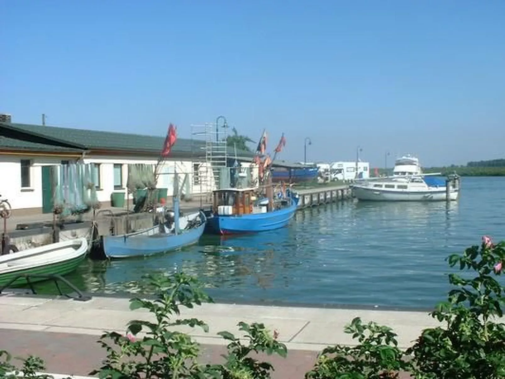 Silvia-Image-tags.info