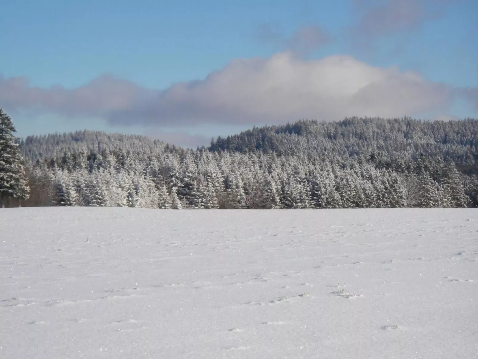 Chalet "Lena"-Buiten