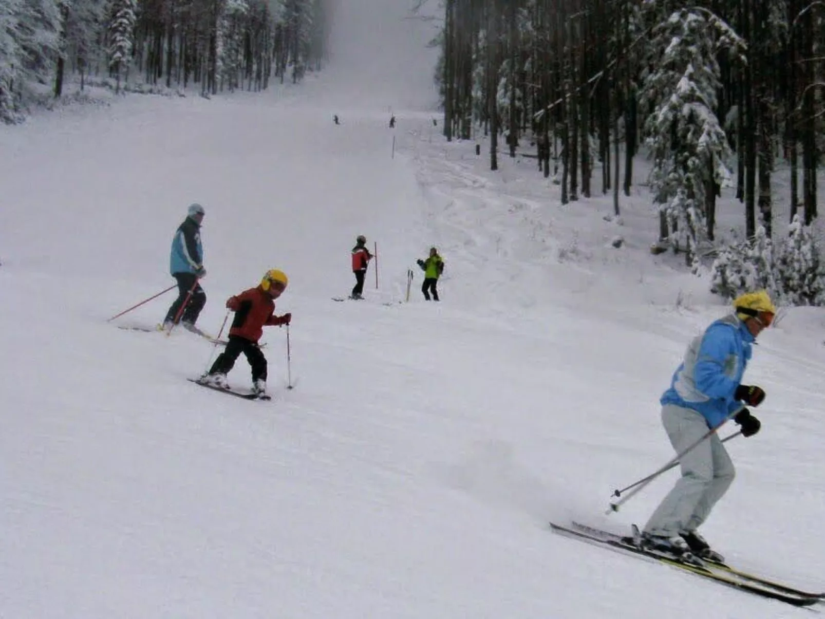 Draublick-Image-tags.info