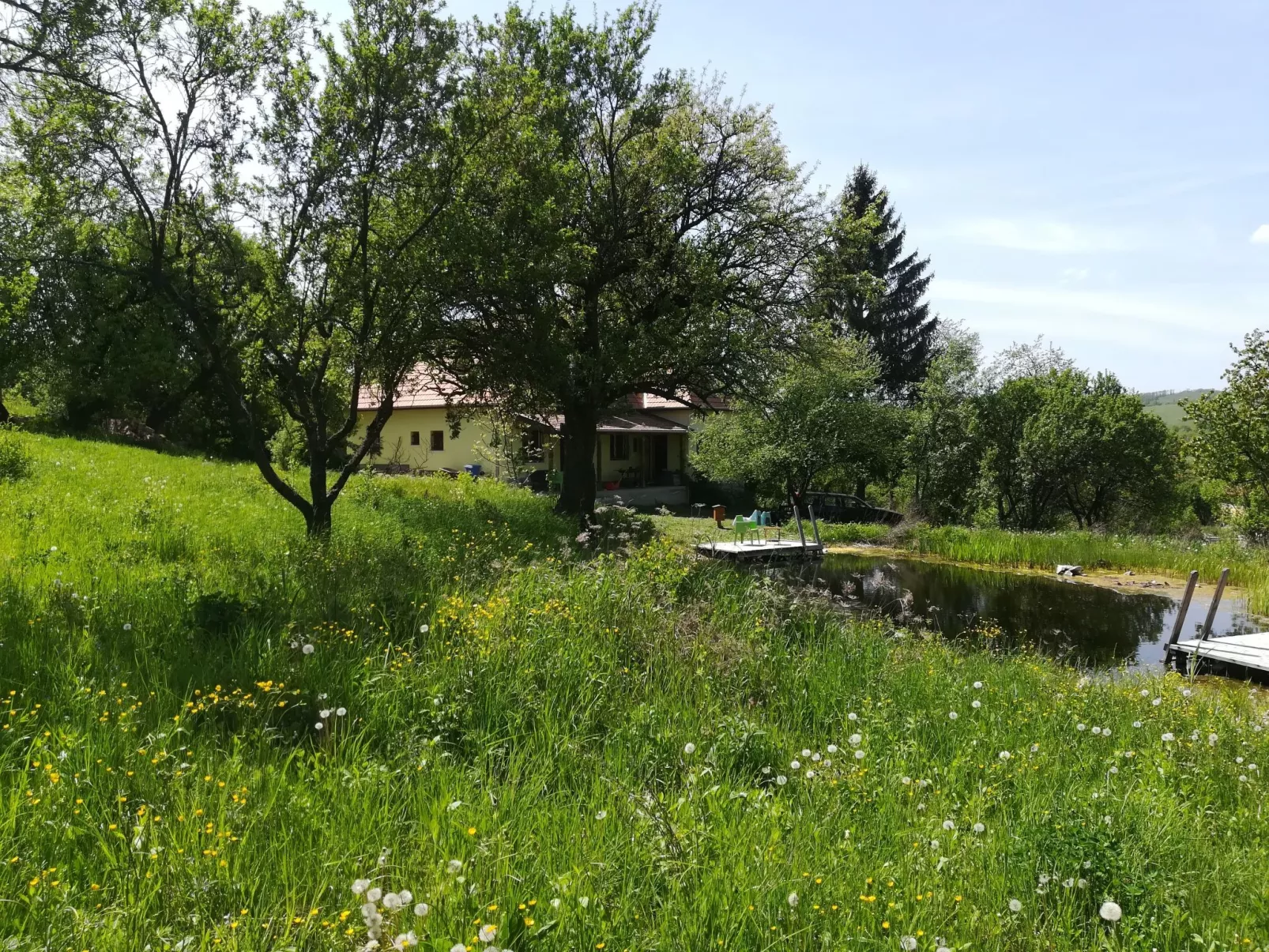 Mit biologischem Schwimmteich-Buiten