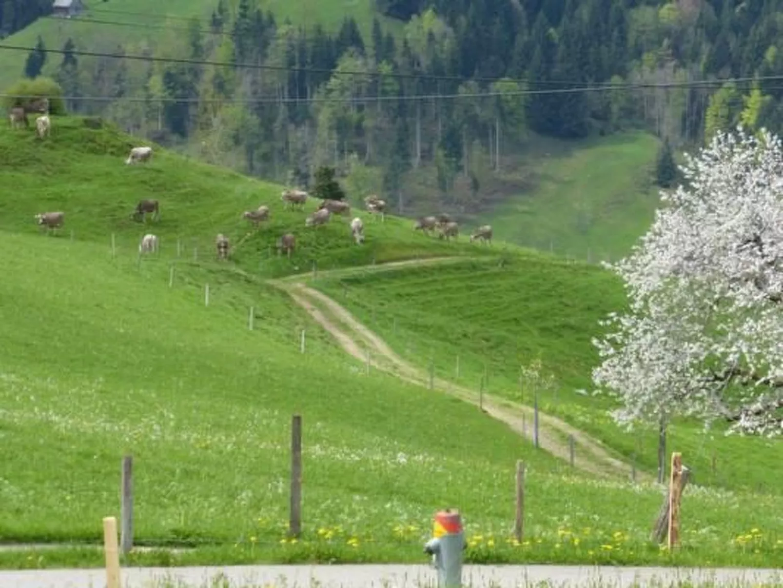 Ferienhof-Barenegg-Buiten