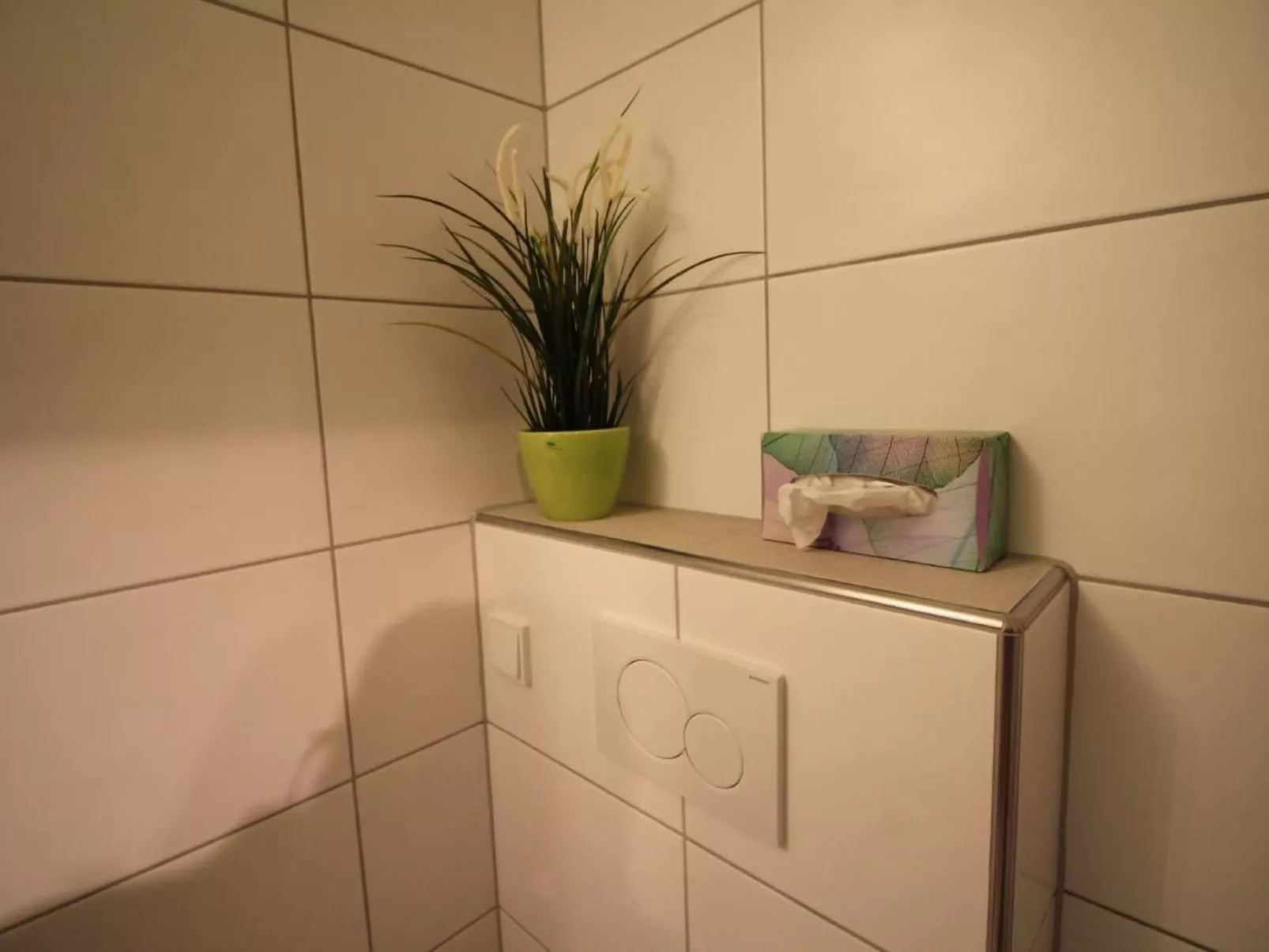 Bemer-Rempfler-Image-tags.info