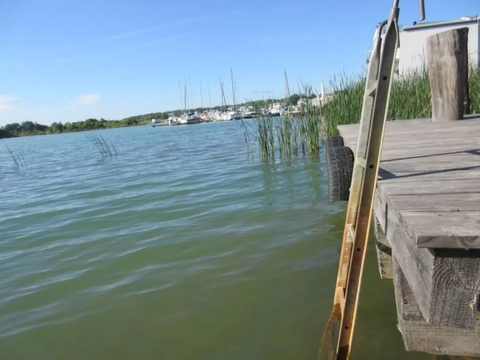 Seehaus Seepferdchen-Image-tags.info