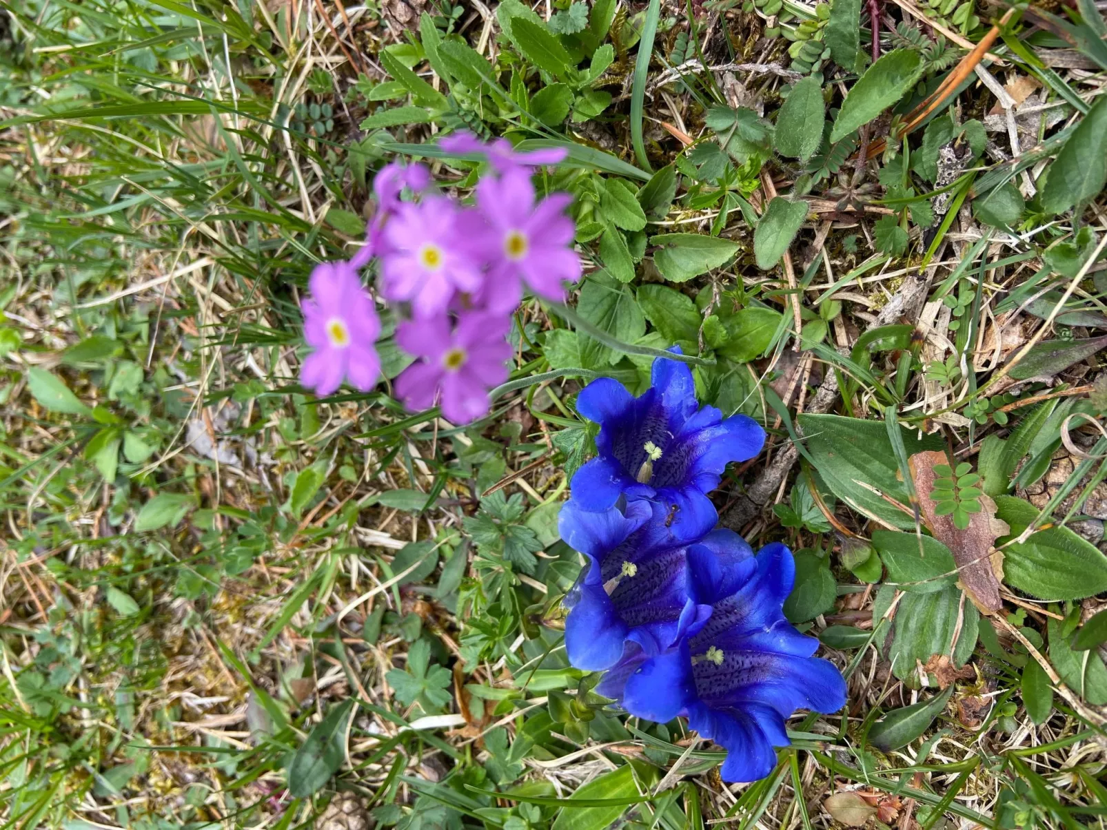 Haus Rosenwirth-Buiten