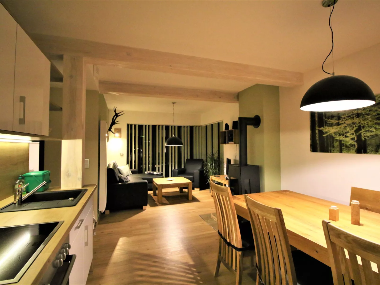 Moderne, niveauvoll eingerichtete Ferienwohnung-Binnen