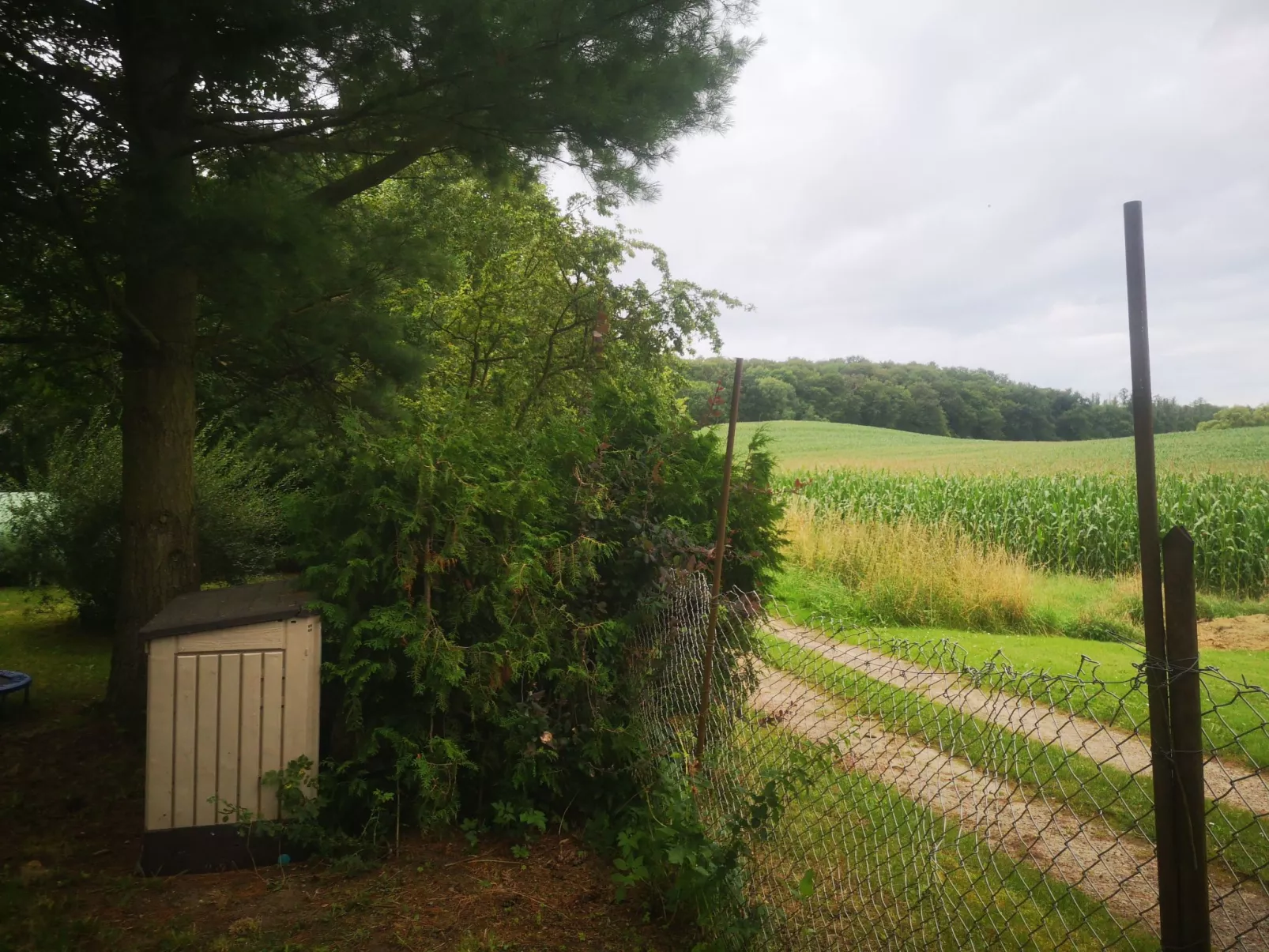 Landurlaub Mecklenburgische Seenplatte b. Waren Müritz-Buiten