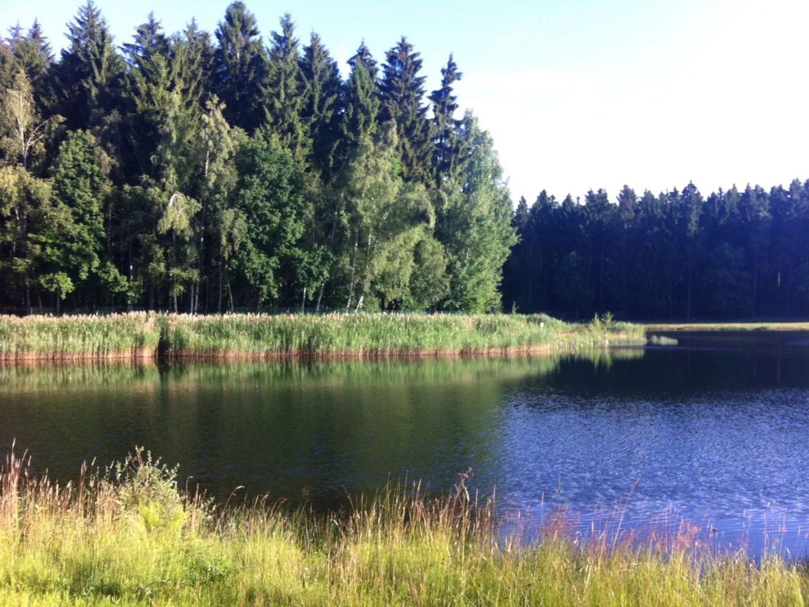 Waldhütte-Image-tags.info