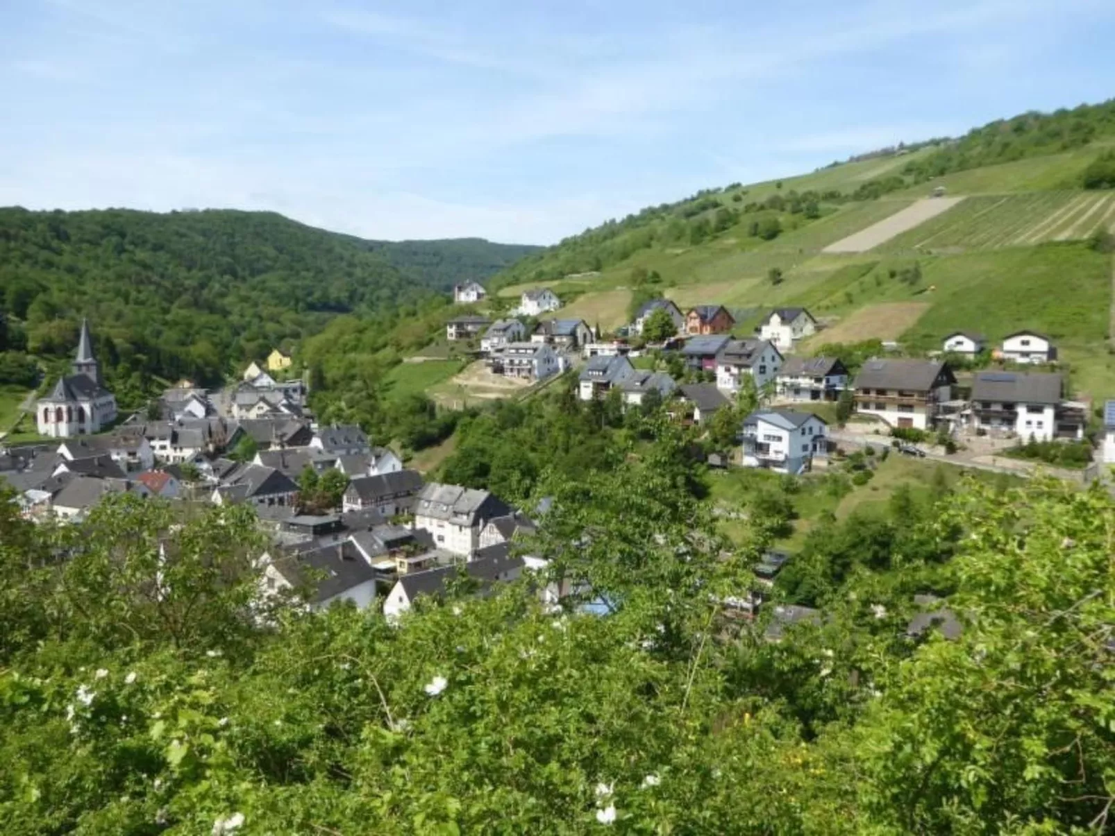 Schäfers Ferienwohnung Oberdiebach am Mittelrhein-Buiten