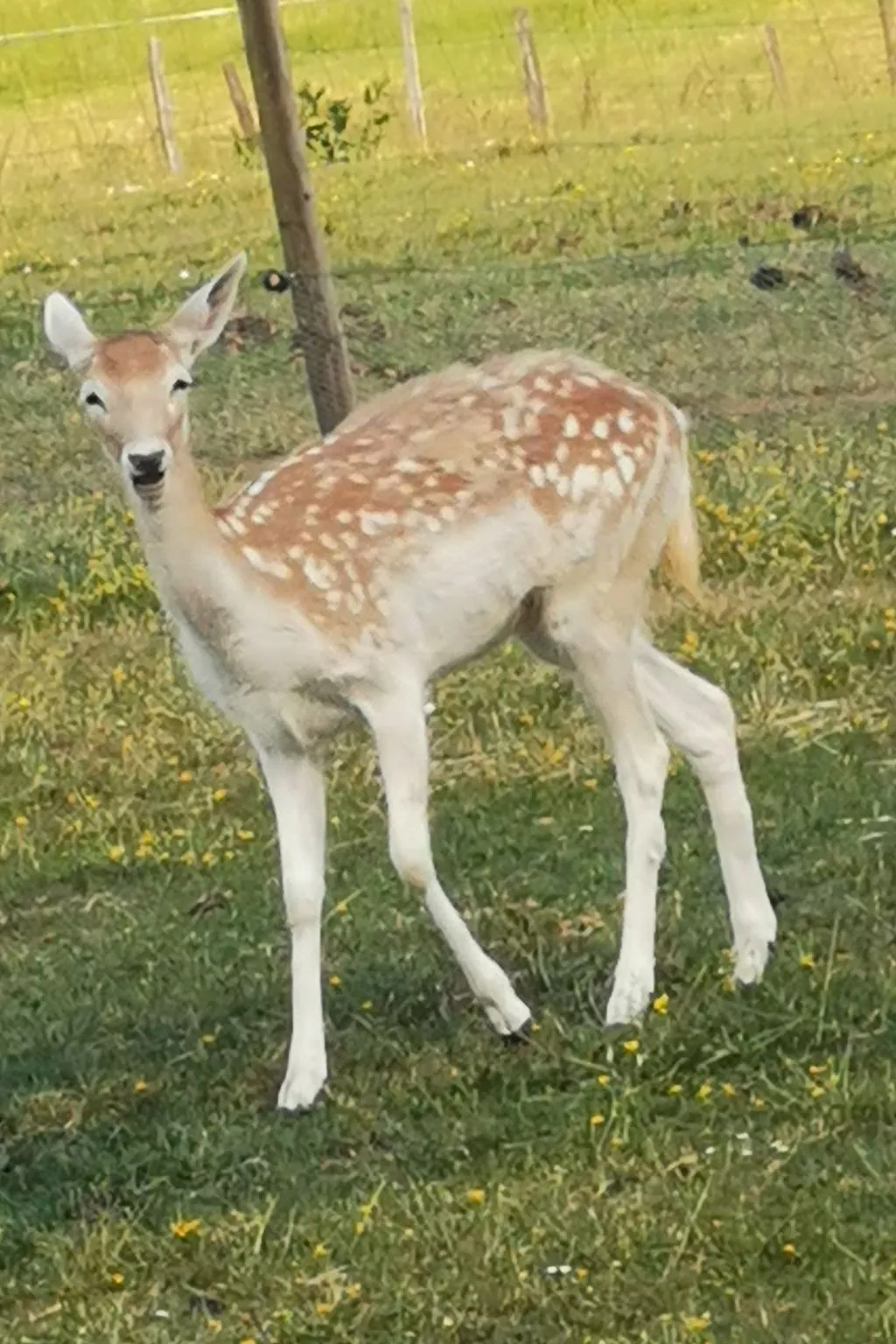 Herzfennerhof Loft-Image-tags.info