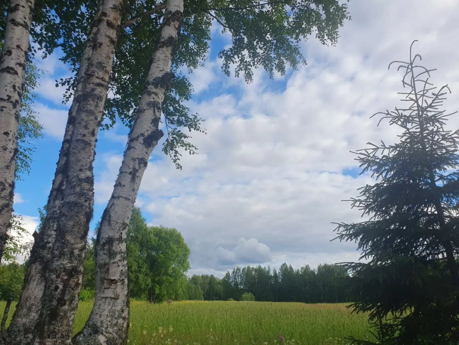 Gemütliches Ferienhaus Angermanland - höga Kusten-Image-tags.info