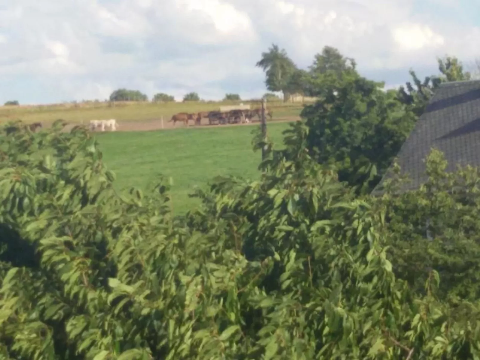 Ferienwohznung Huhle-Buiten