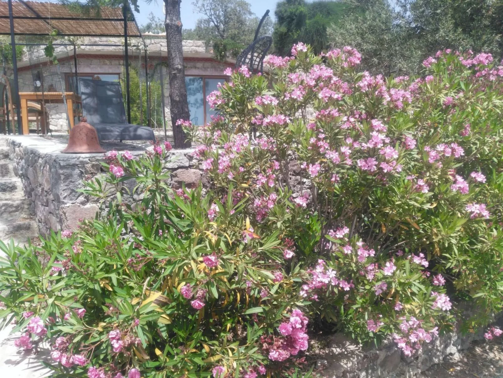 Assos Sivrice Gästehaus-Buiten