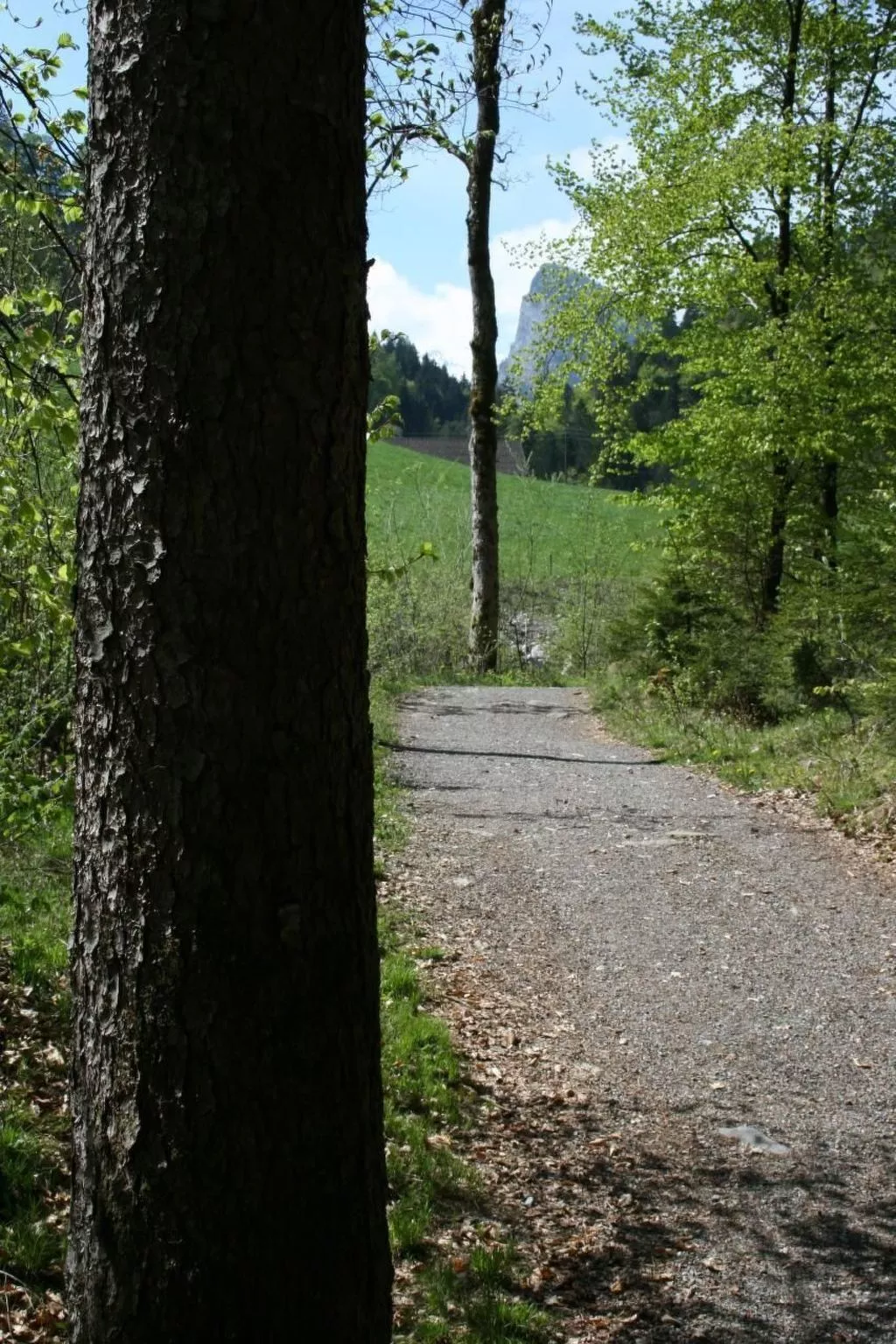 Fewo mit Herz-Buiten