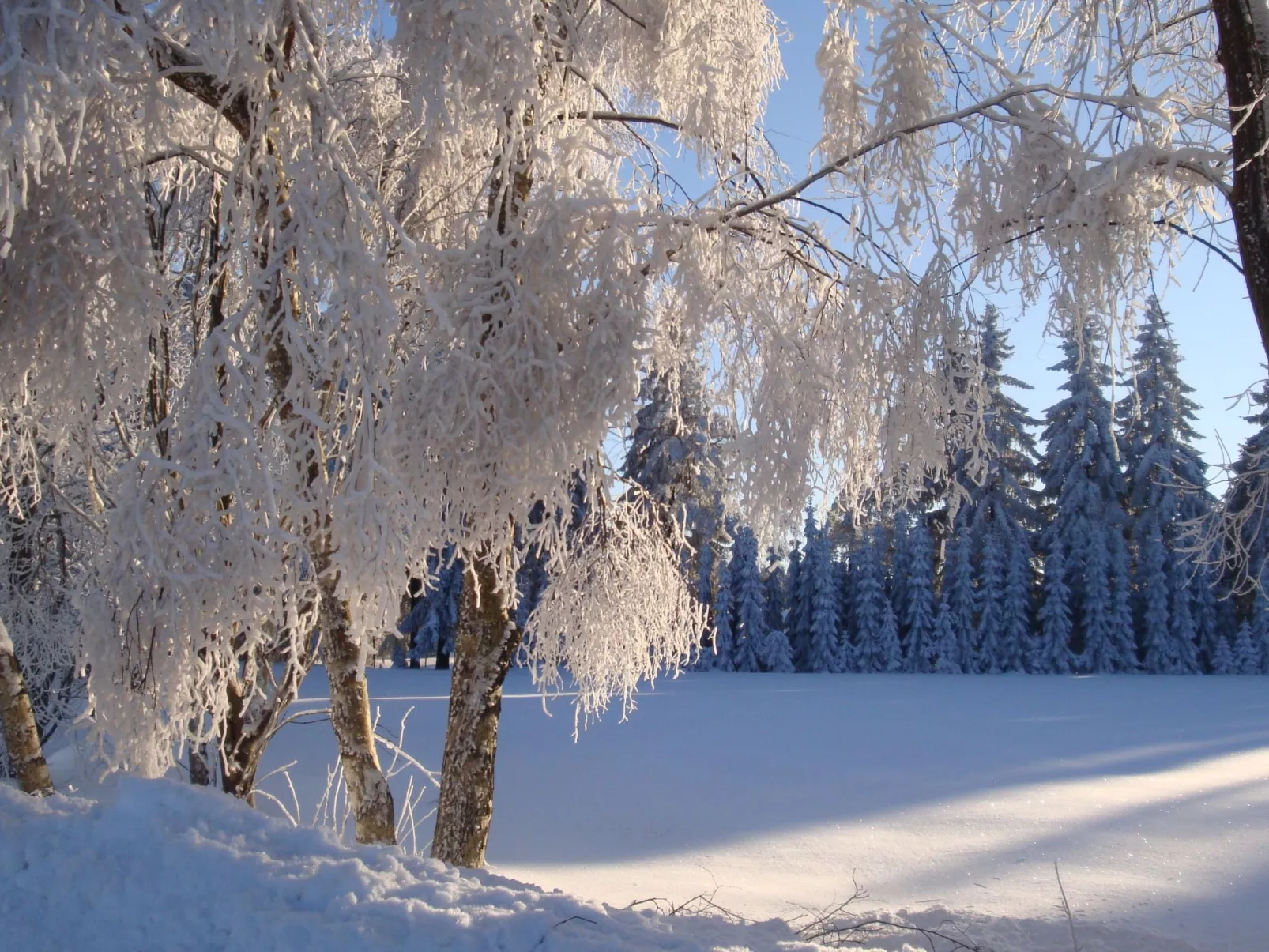 Vogtlandresidenz - Buiten