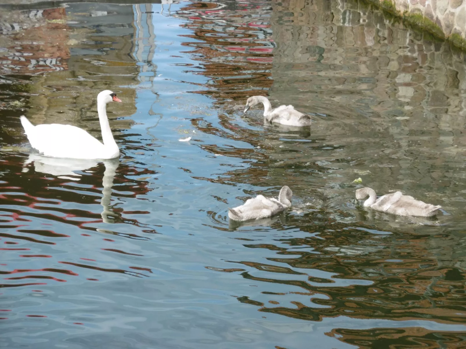 In Alt Travemünde-Buiten