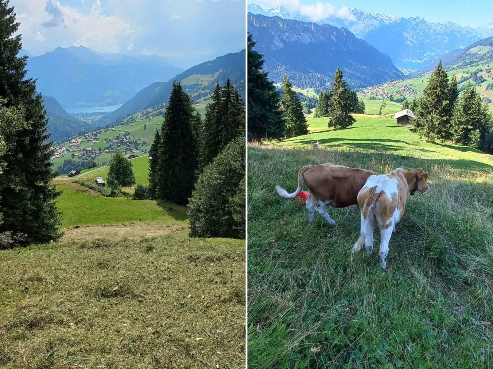 Fewo Wychelboden-Buiten