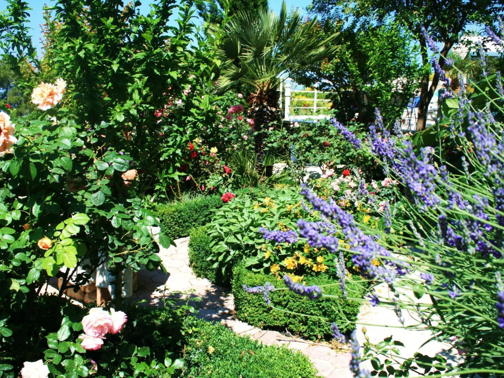 Tolle Wohnung in Drašnice mit Schönem Garten-Buiten