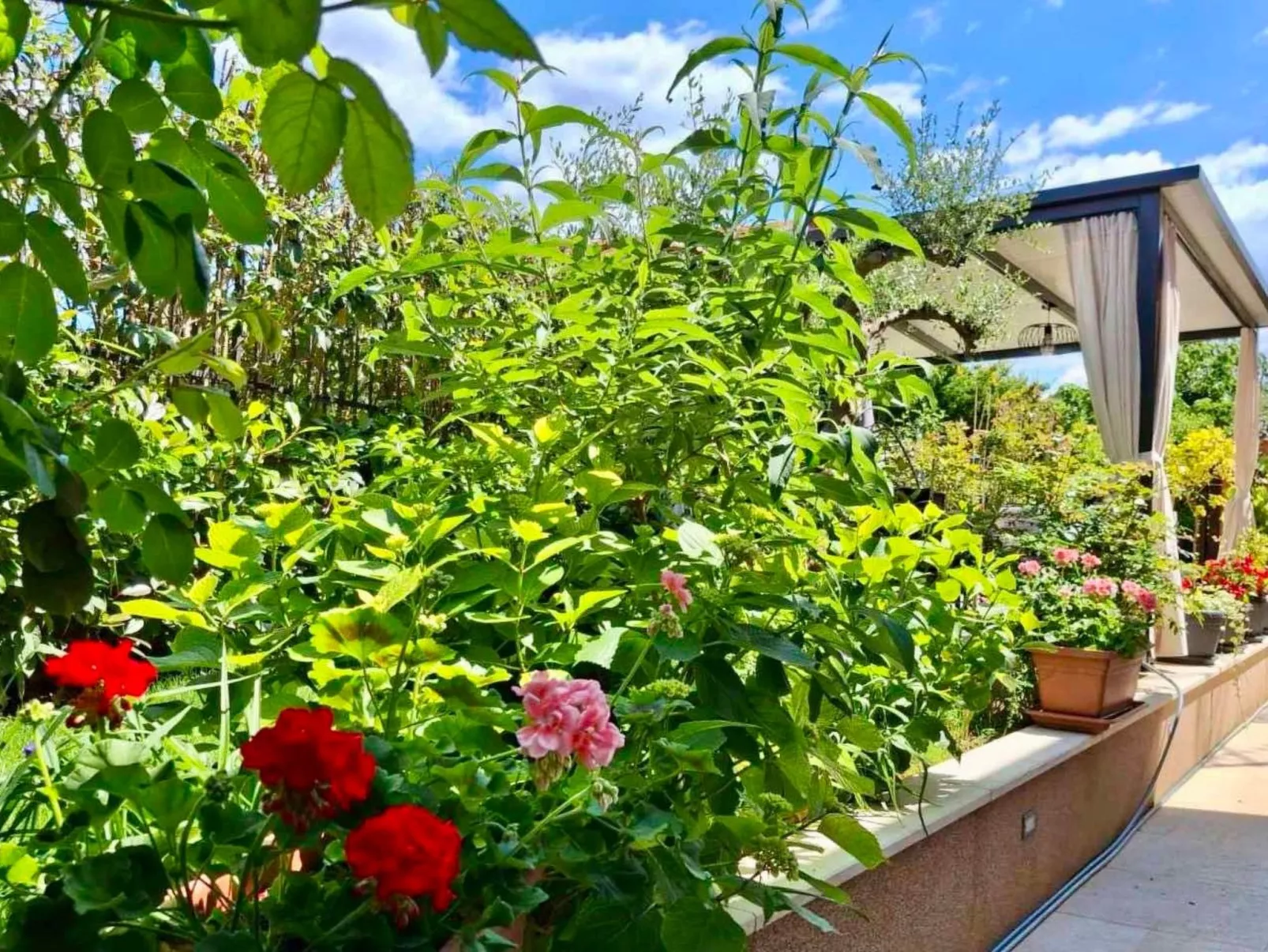 Schöne Wohnung Funtana Nr.3-Buiten