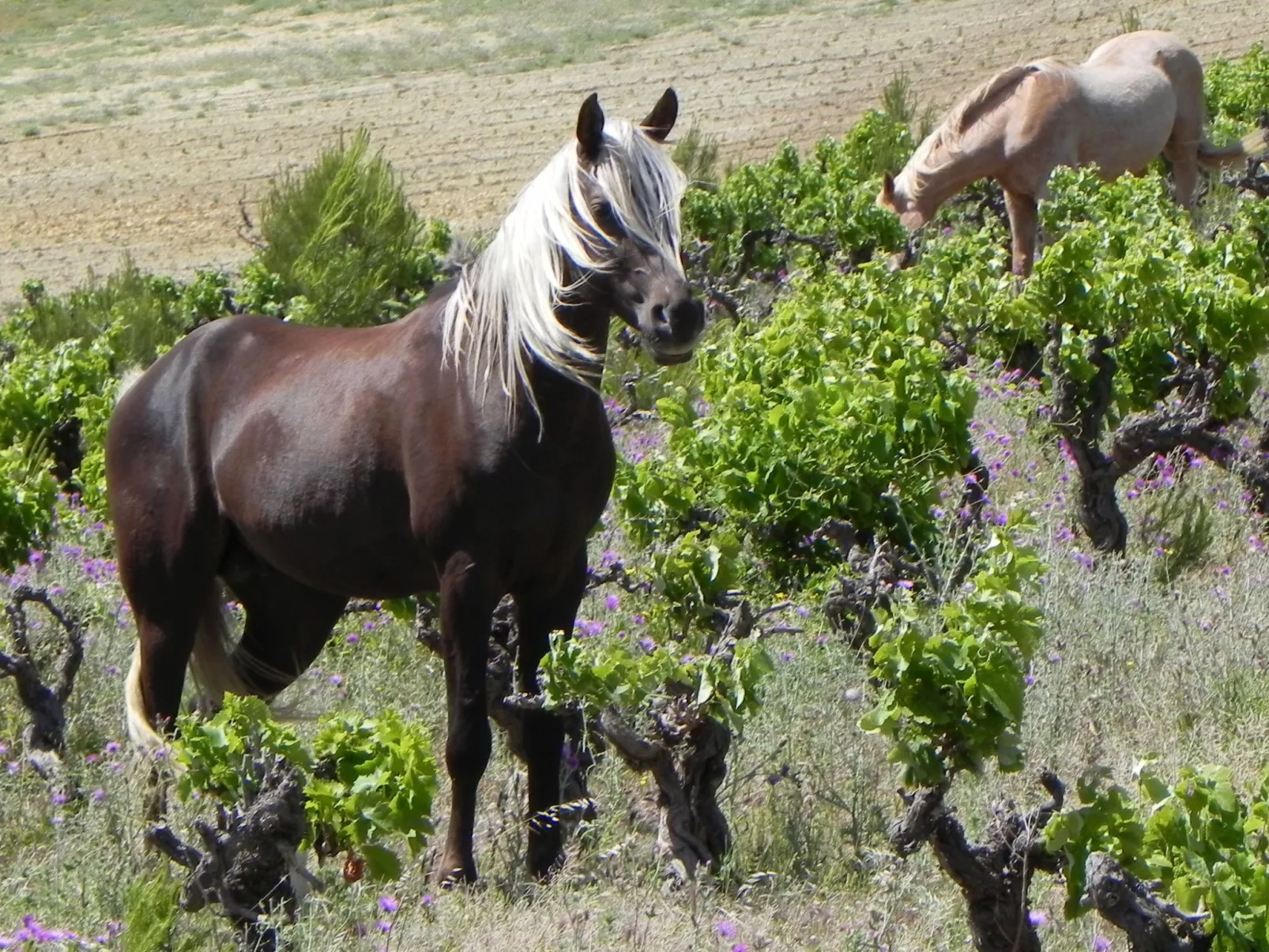 Residence du Grazel-Buiten