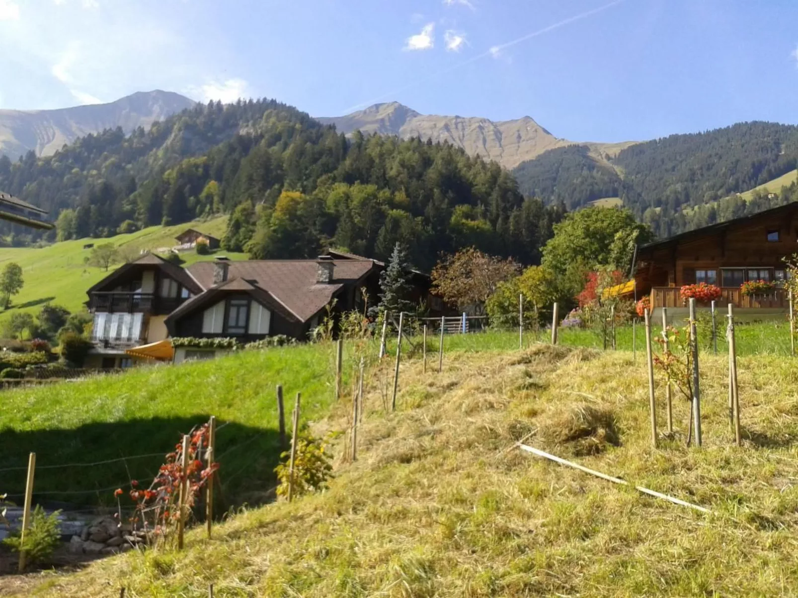 Alpenblick west-Image-tags.info