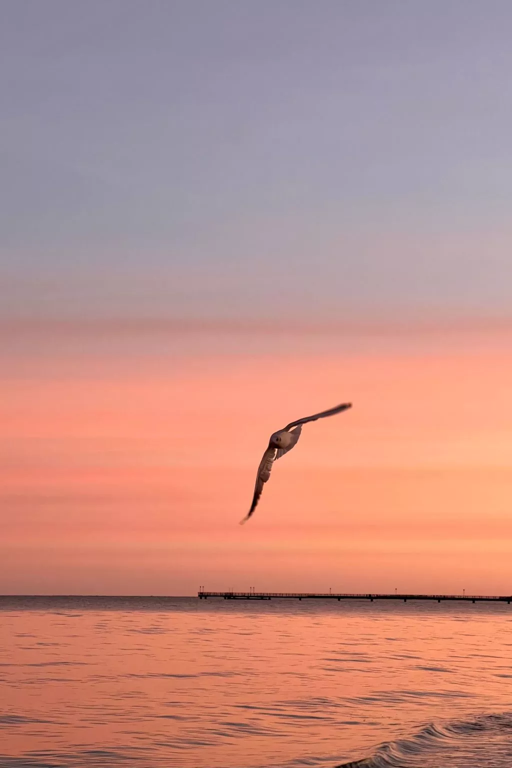 Stormy im Nauticum-Buiten