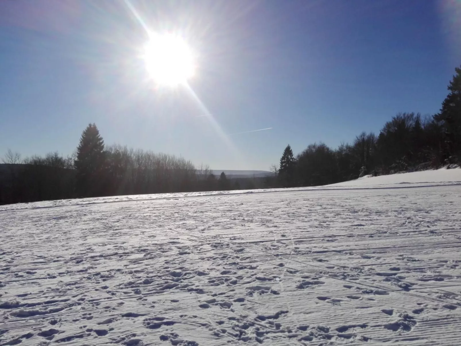 Im Thüringer Wald mit Grill und Garten-Image-tags.info