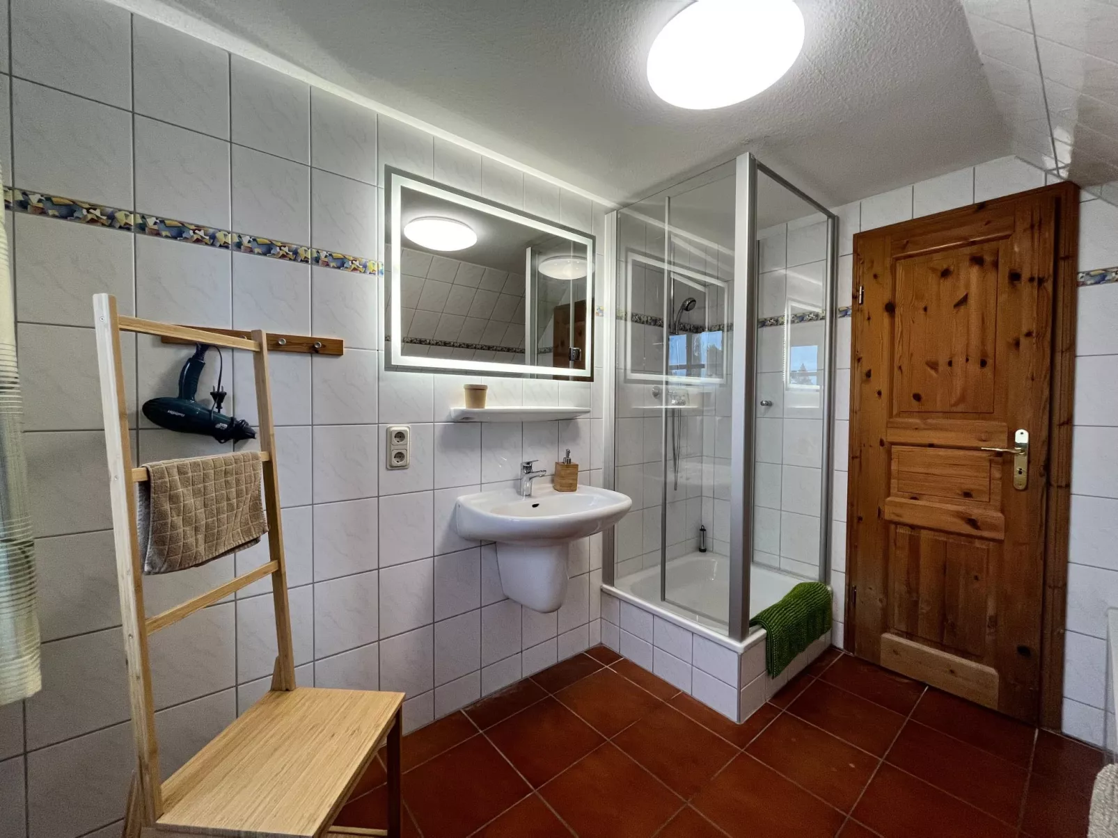 Möwe in Ummanz-Lüßvitz-Binnen