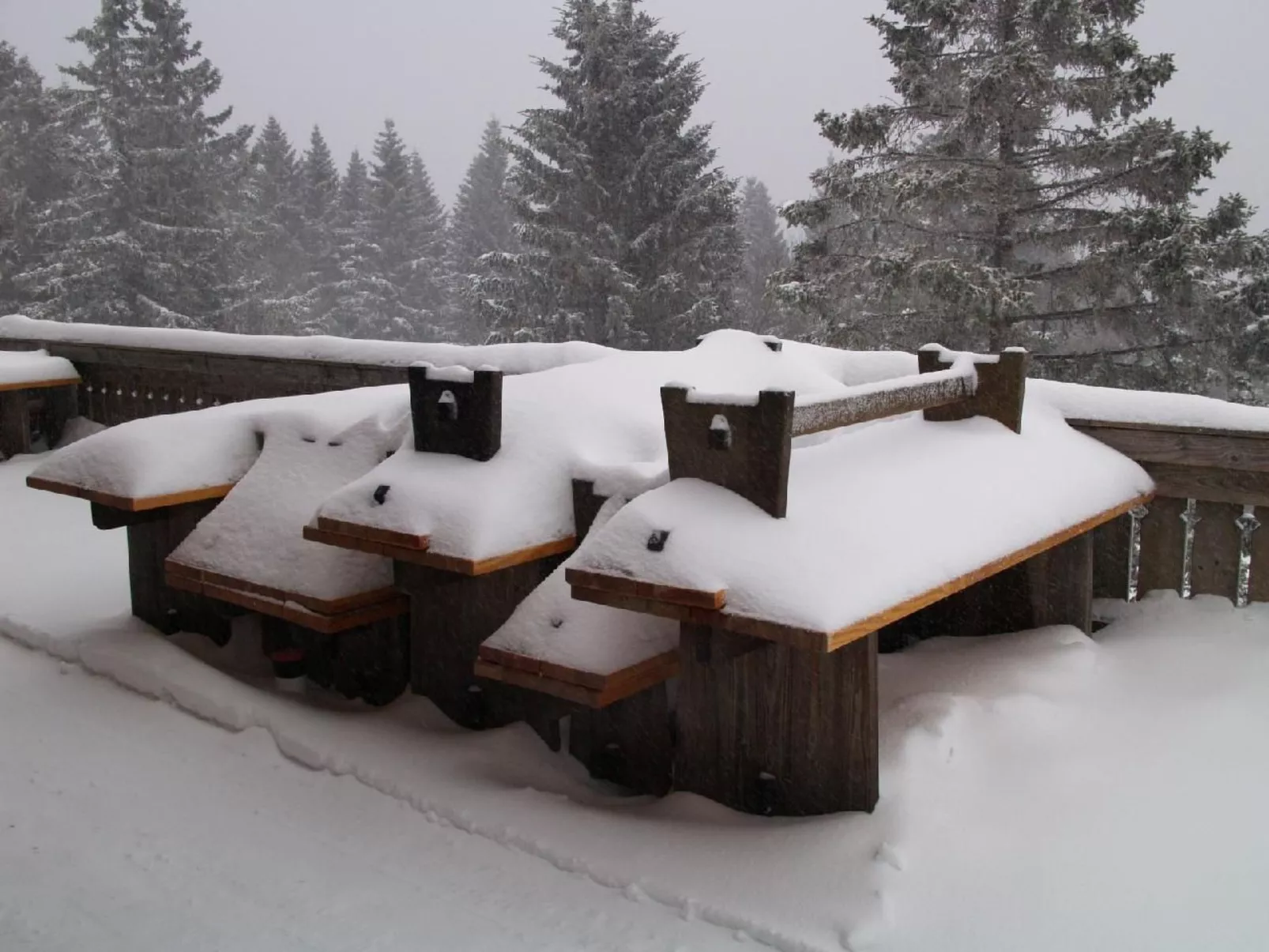 Appartement in Altenau mit Garten-Image-tags.info