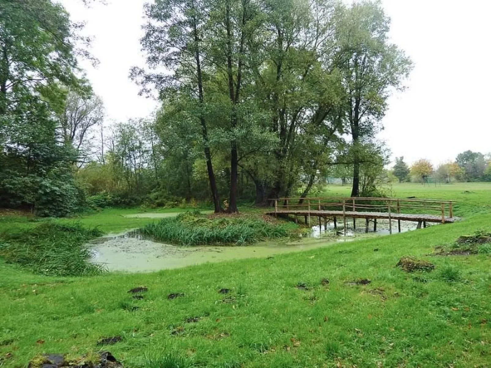 Müritzbrise groß in in Ludorf - Buiten